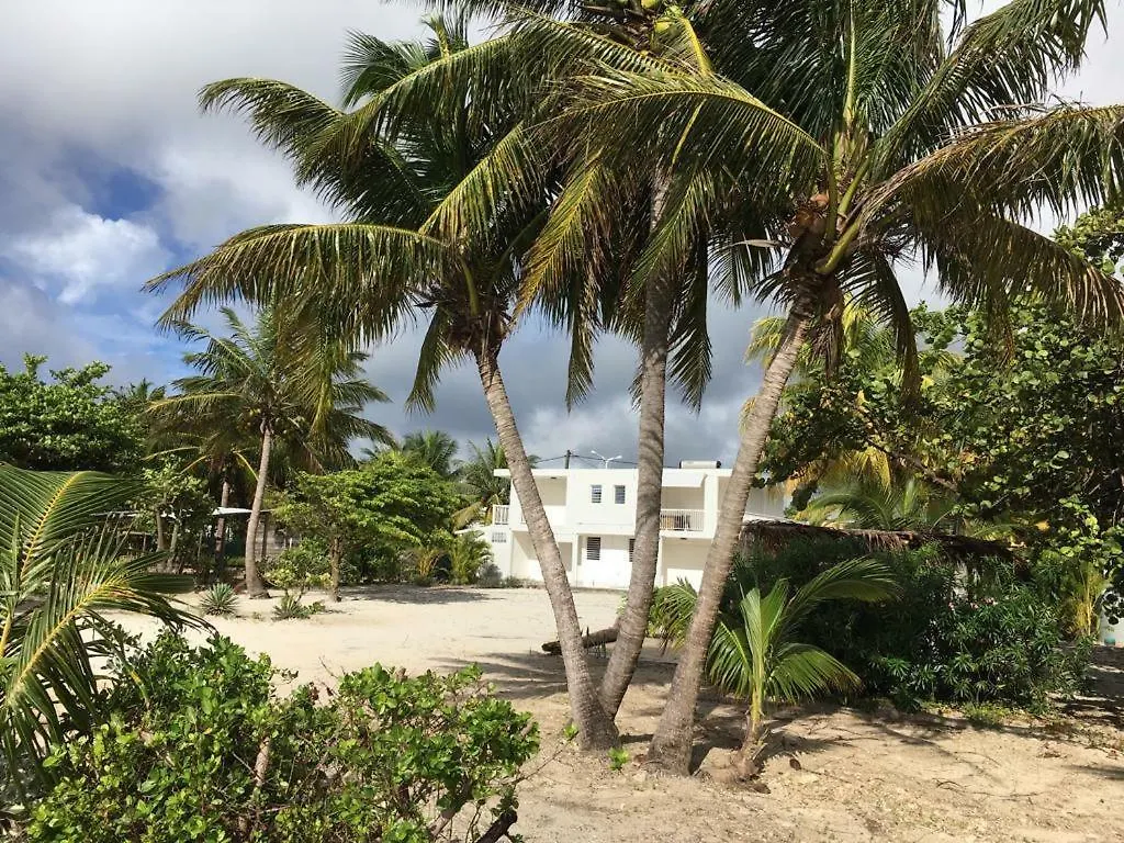 Hotel Les Jardins De L'Harmonie 02 Sainte-Anne  Guadeloupe